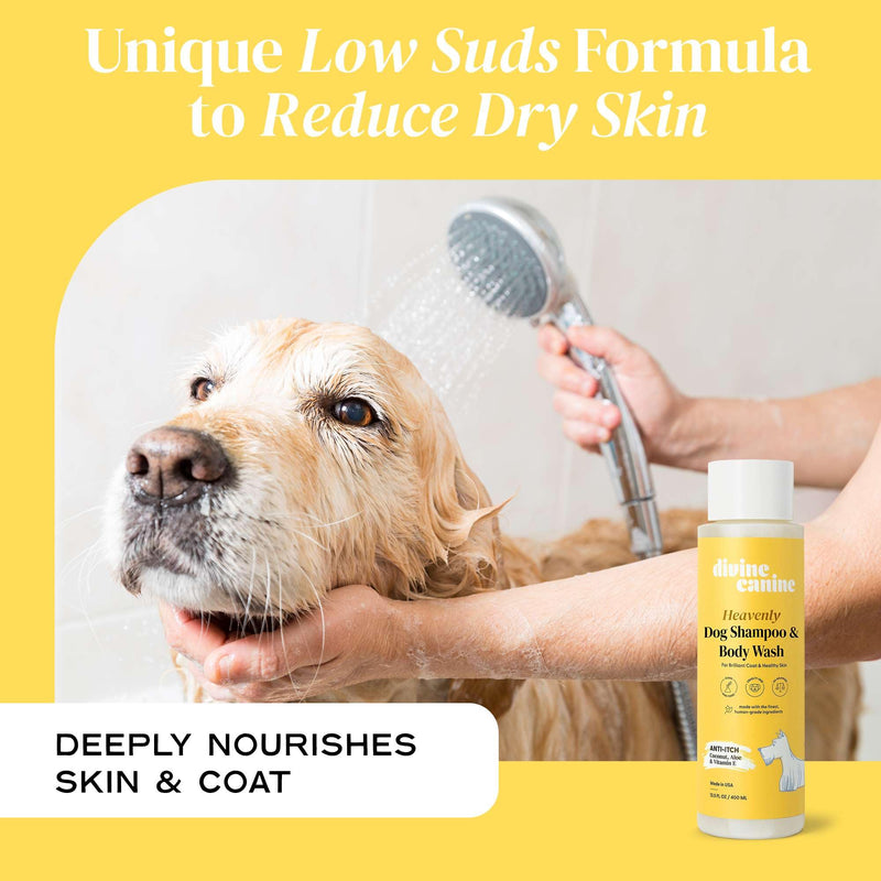Heavenly Dog Shampoo & Body Wash - Anti-Itch - Dog Shampoos - pH Balanced Conditioning Dog Bath Blend with Collagen, Aloe, Coconut Milk, Vitamin E - Soothe Itchy Skin & Coat - 13.5oz - PawsPlanet Australia