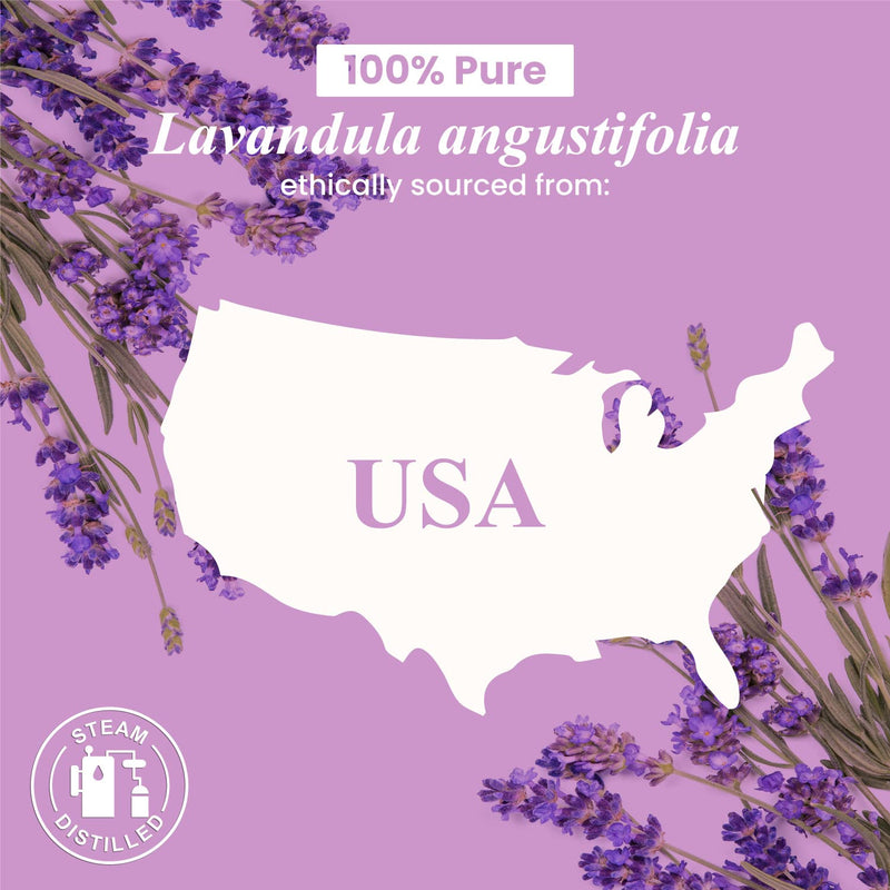[Australia] - Handcraft Blends Lavender Essential Oil - Huge 4 Fl Oz - 100% Pure and Natural - Premium Grade with Glass Dropper 4 Fl Oz (Pack of 1) 