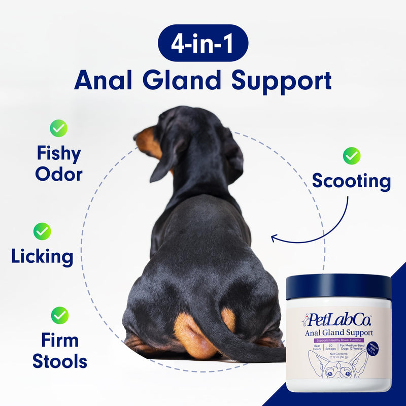 PetLab Co. Anal Gland Support Tailored Powder – Supports Anal Gland Health and Optimizes Stool Consistency - Easy to Use - Helps Target Scooting & Fishy Rears – for Medium Dogs - PawsPlanet Australia