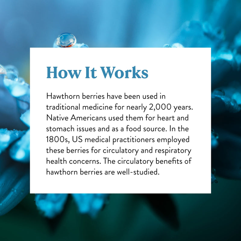 [Australia] - Nature's Sunshine Hawthorn Berries, 100 Capsules | Helps Enhance Heart Muscle Function and Provides Circulatory System Support 