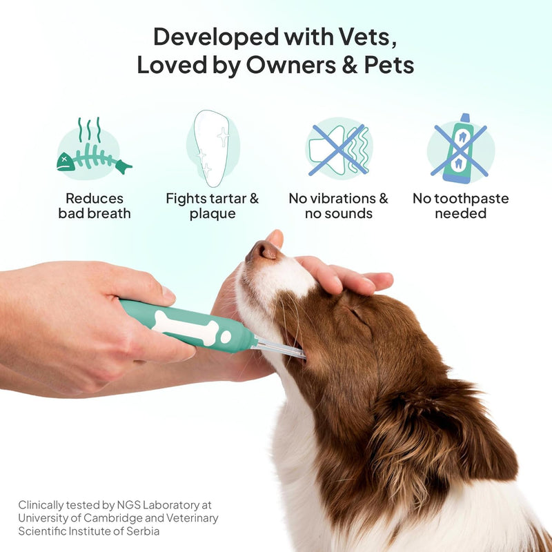 Dog Toothbrush | Innovative Eletrolytic Technology | Improves Oral Health & Reduces Bad Breath | No Vibrations & Silent Teeth Cleaning Brush | No Toothpaste Needed | Dog Teeth Cleaning Kit Green Small - PawsPlanet Australia
