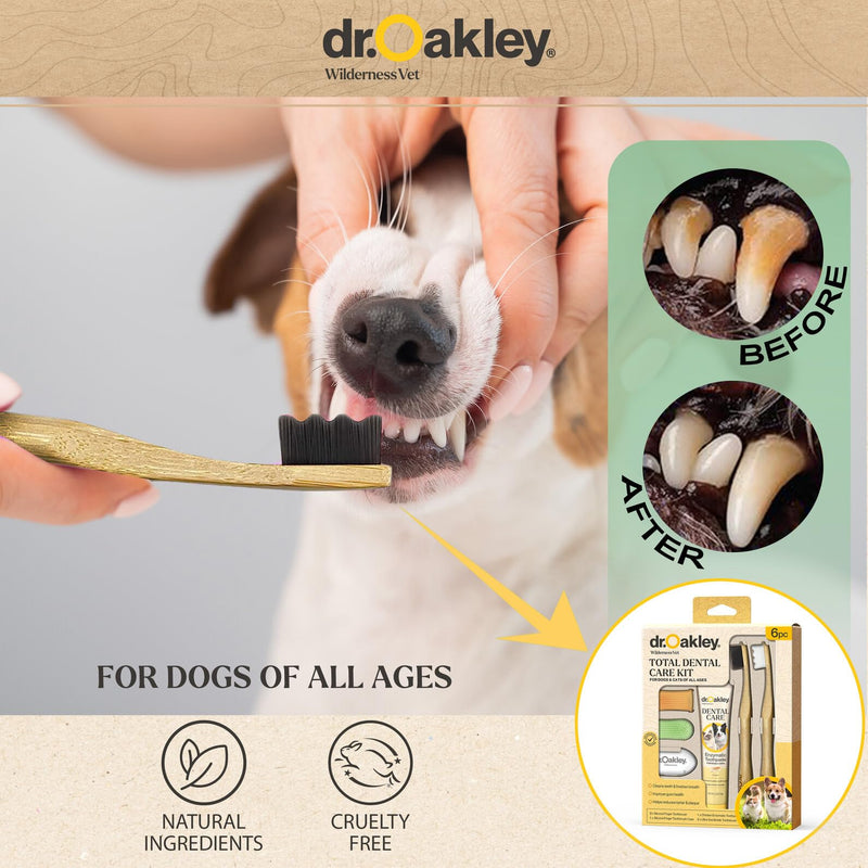 Total Dental Care Kit for Dogs & Cats: Chicken Flavor -Toothpaste, Brushes, and Case, Natural - PawsPlanet Australia