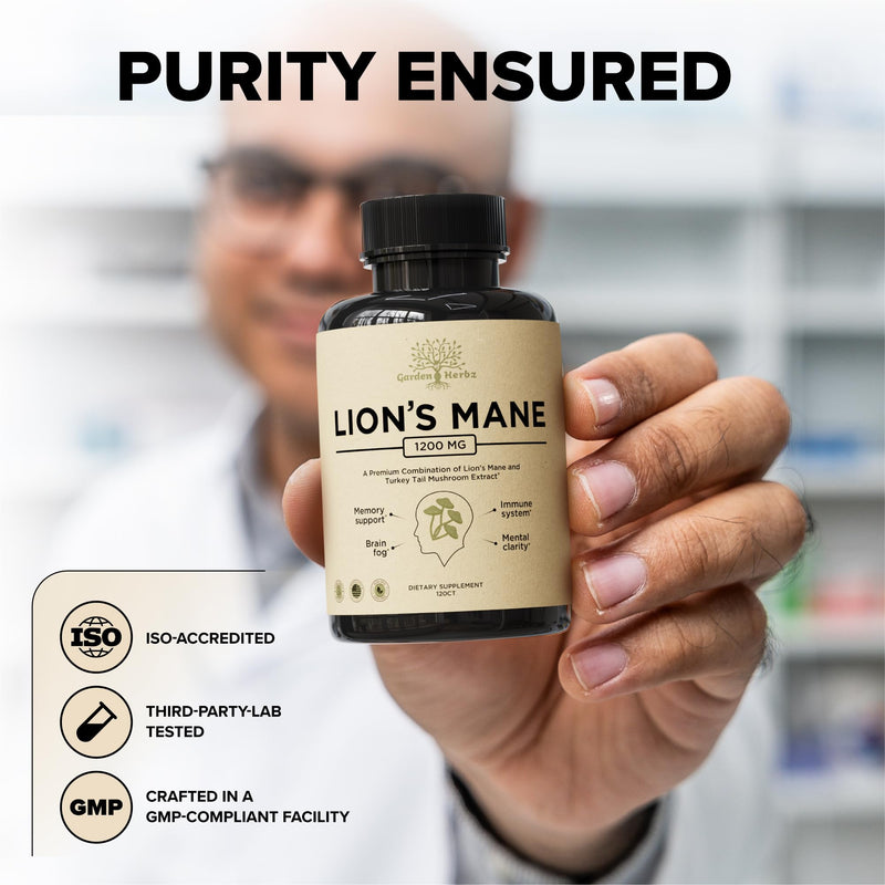 [Australia] - Lions Mane Supplement Capsules with Turkey Tail ‚Äì Nootropic Brain Fog, Focus, Memory, Nerve Function, & Immune Support Supplement ‚Äì Non-GMO 1200 Mg Lions Mane Mushroom Supplement, 120 Caps. 120 Count (Pack of 1) 