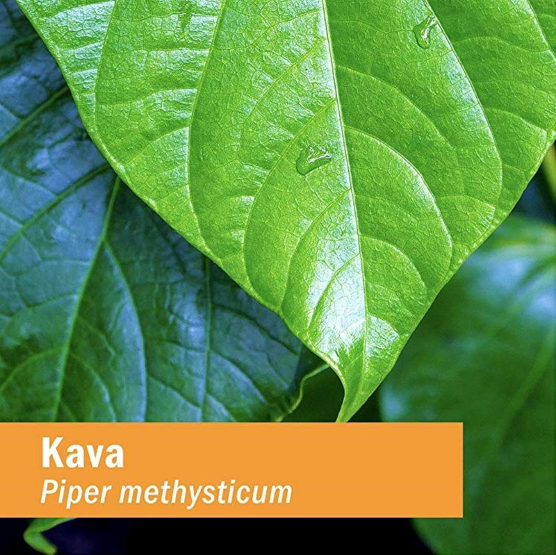 [Australia] - Herb Pharm Kava Root Liquid Extract to Reduce Stress and Promote Relaxation - 4 Ounce 