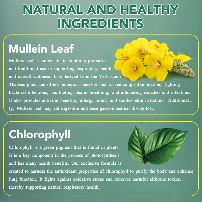 [Australia] - Mullein Drops for Lungs, Natural Mullein Leaf Extract, Mullein and Chlorophyll Drops for Lungs, Breathing Support Supplement (2 Fl Oz/1Pack) 2 Fl Oz (Pack of 1) 