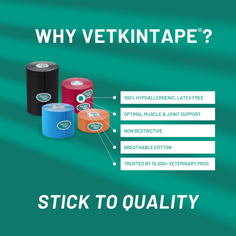 VetkinTape® Veterinary Kinesiology Tape Blue | kinesiology Tape For Horses & Dogs | Equine & Canine Kinesiotape | Latex Free and TÜV Quality Mark Certified Ktape | 10cm-5m | Pack of 1 Roll