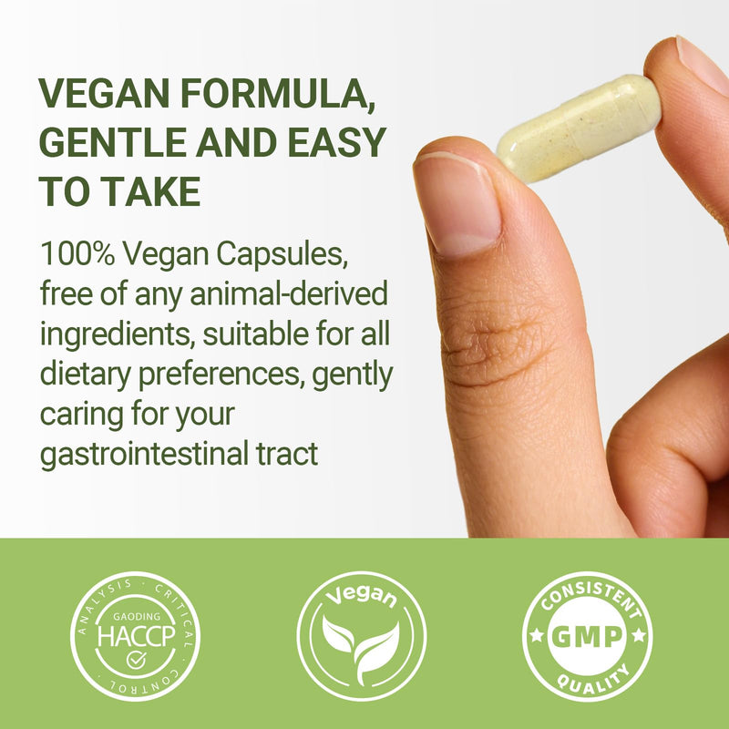 Daily Capsules of Premium Fermented Kimchi - Kimchi Powder 90 Vegan Capsules Natural Nutritional Supplement - Probiotics for Gut Health & Immune Support – Enhance Energy, Focus, Skin and Hair Health