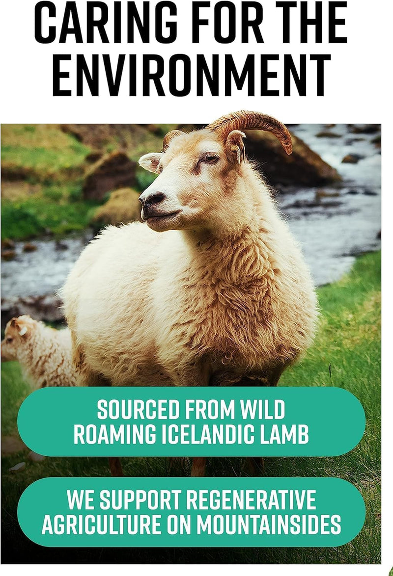 Hunter & Gather Nose to Tail - 90 Perform Capsules | Wild, Grass Fed Icelandic Lamb Ancestral Inspired Supplements| Raw Freeze-Dried Lamb | No GMO Feeds, Antibiotics Or Hormones 90 count (Pack of 1)