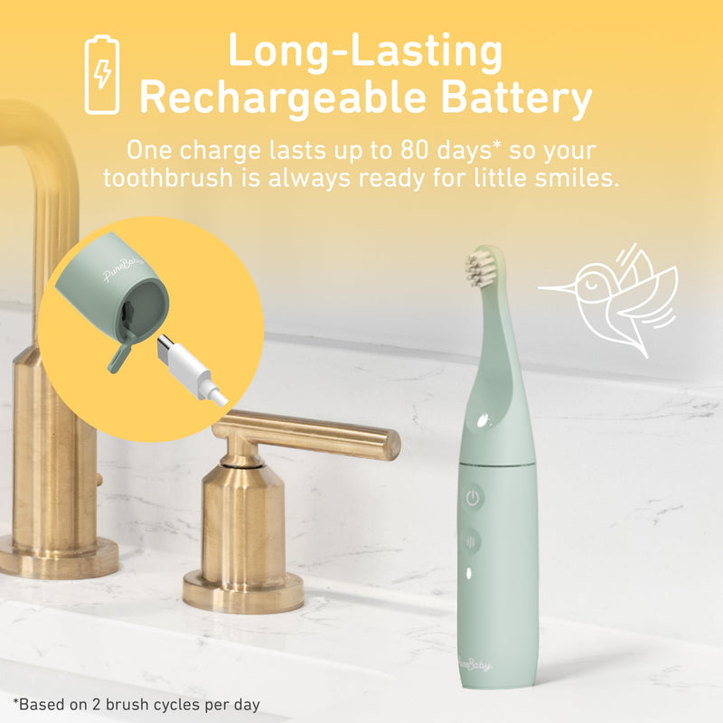 Pure Enrichment PureBaby Infant-to-Toddler Electric Toothbrush - Waterproof Baby & Toddler Toothbrush with Silicone & Bristle Heads, Sonic Vibration, & Timer - Ages 6 Mo-3 Yrs (Sage Green)