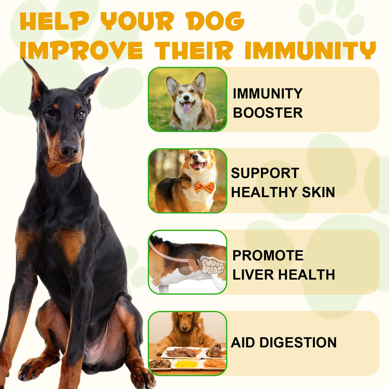 Allergy Relief Drops for Dogs, Allergy Immune Booster Treatment for Seasonal Allergies & Digestive, Healthy Immune System, Dog Supplement with Milk Thistle and Turmeric, Bacon Flavor - 60ml / 2 fl.oz - PawsPlanet Australia