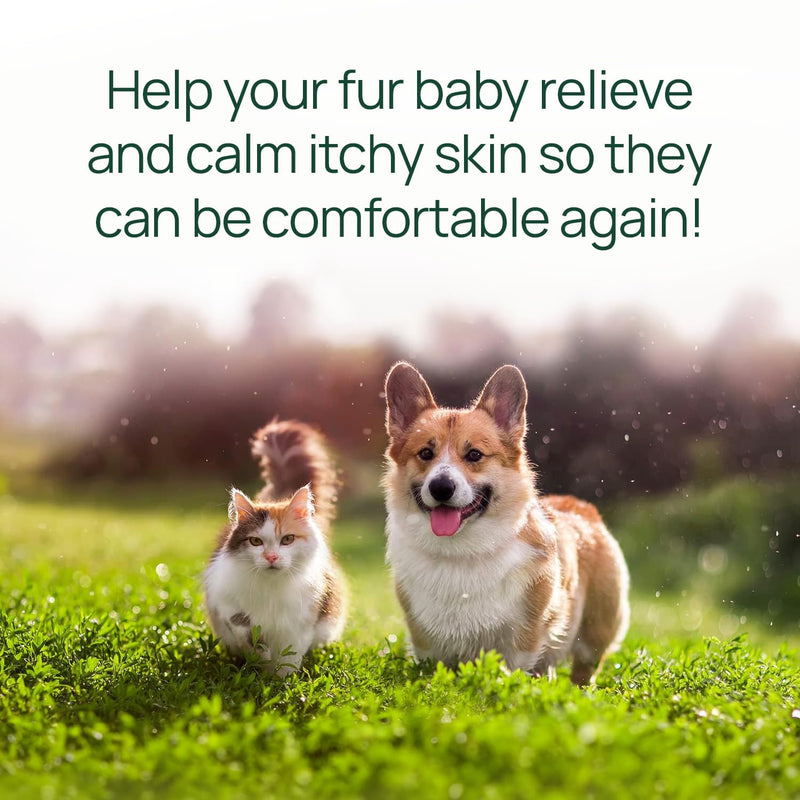 pawTree Natural Allergy Support Plus for Dogs-Ideal for Itching, Irritated Skin, Seasonal and Food Allergies, Hot Spots. Supplement Your pet Will Love. Small Chews for Pets - 60 Count (Small) - PawsPlanet Australia