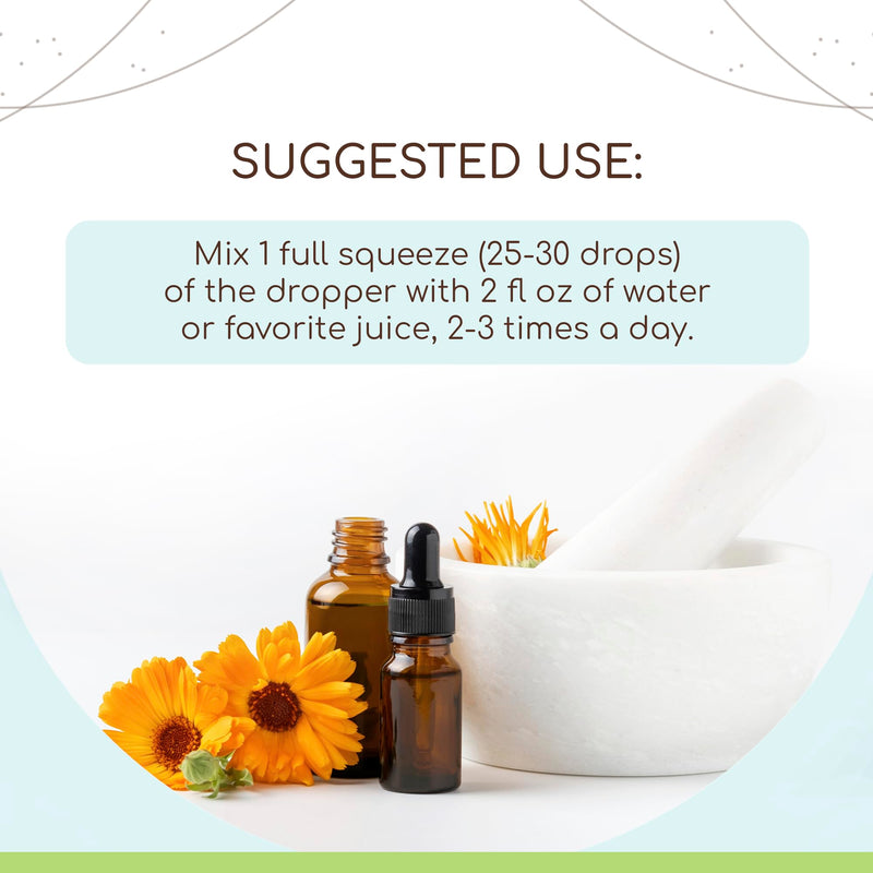 [Australia] - Goldenseal Root B120 Alcohol-Free Herbal Extract Tincture, Super-Concentrated Responsibly farmed Goldenseal (Hydrastis Canadensis) (4 fl oz) 4 Fl Oz (Pack of 1) 