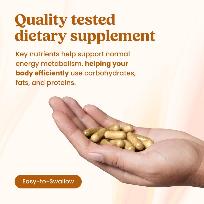 Metabolic Factor Complex Capsules – Energy & Metabolism Support with Acetyl L-Carnitine 500mg, Green Tea Extract 500mg, Caffeine 250mg, Coleus Forskohlii & Theobromine – 90 Vegan Capsules