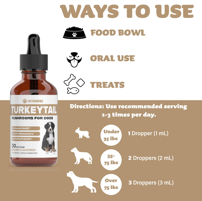 Turkey Tail Mushroom for Dogs | Helps to Boost The Immune System, is a Healthy Prebiotic, & Much More | Turkey Tail for Dogs | Mushrooms for Dogs | Dog Mushroom Supplements | 1 fl oz - PawsPlanet Australia
