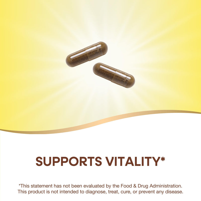 [Australia] - Nature's Way Gotu Kola Herb, Supports Longevity and Vitality*, 950 mg per 2-Capsule Serving, Non-GMO Project Verified, 180 Capsules (Packaging May Vary) 