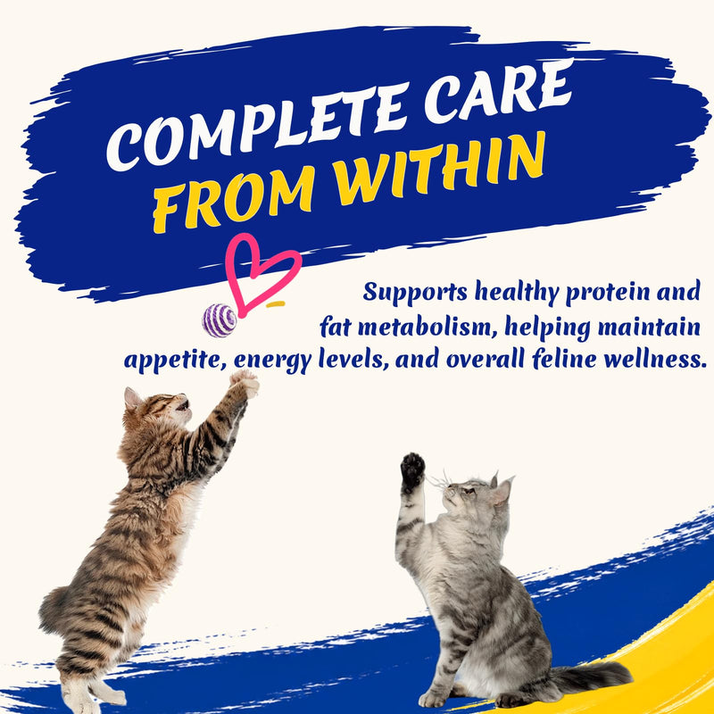 Appetite Stimulant for Cats – Vitamin B12 (Methylcobalamin) Supplement | Mood, Energy, Appetite, Immune System Support - 3.5 fl oz