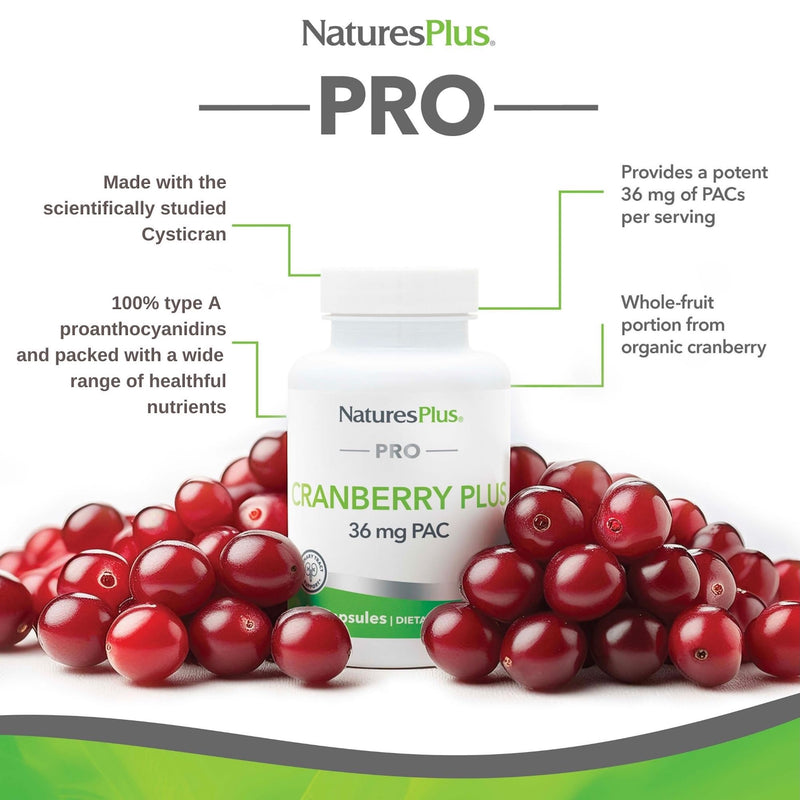 NaturesPlus PRO Cranberry Plus - High Strength Cranberry Supplement, Fruit & Extract, 36 mg PAC - Vegan, Gluten Free, GMO Free - 60 Capsules