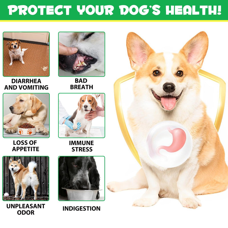 Probiotics for Dogs, 180 Chews Dog Probiotics and Digestive Enzymes, Promotes Gut Health, Dog Probiotics for Bowel Support, Immunity Health - PawsPlanet Australia