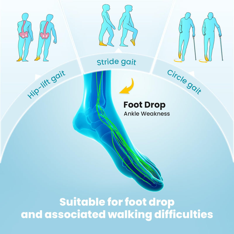 [Australia] - AFO Foot Drop Brace Splint, Adjustable Drop Foot Up Ankle Support for Walking with Shoes, Improve Walking Gait, Fits Right & Left, Women and Men - Black 