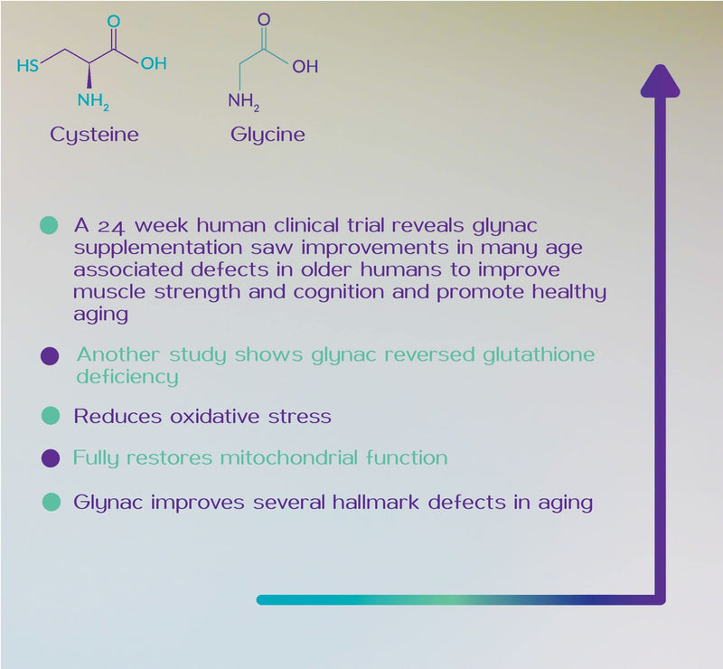 Hyer GlyNAC N-Acetylcysteine & Glycine 60g Premixed Stack Glutathione Level Boost Supplement Powder Third Party Tested High Purity for Healthy Ageing & Oxidative Stress Reduction 60 Servings