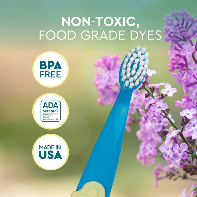 RADIUS Children's Toothbrush, Totz Plus Brush, Extra Soft Bristles, White/Green/Lightblue, BPA Free & ADA Accepted, for Delicate Teeth & Gums for Children 3 Years & Up, Pack of 3 Bluewhite/ Greenyellow / Blueblue 3 Count (Pack of 1)