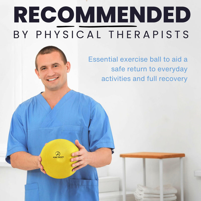 [Australia] - ProBody Pilates Ball Exercise Balls Physical Therapy, Small Exercise Ball for Between Knees, 9 Inch Core Ball, Stability Ball or Barre Ball for Rehab, Yoga, Physical Therapy Ball Yellow 