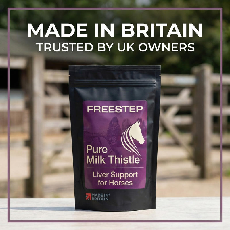 Pure Milk Thistle for Horses | Pure Ground Milk Thistle Powder for Liver Support, Detox and Recovery | Natural Horse Supplement for Performance and Metabolism 500g | 4 Month Supply