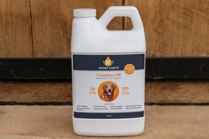 Camelina Oil for Dogs - Omega 3, 6, 9 Supplement for Healthy Skin, Shiny Coat & Flexible Joints - Dog Joint Supplement - Natural Canine Wellness - Omega 3 for Dogs (Pump Included - 64oz) 64 Ounce - PawsPlanet Australia