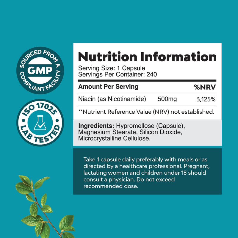 High Strength Nicotinamide 500mg Capsules - 240 Count - Vitamin B3 Supplement for Energy, Skin, and Immune Support - Flush Free Niacin Supplement - Non-GMO, Vegan, Gluten-Free, and GMP Certified