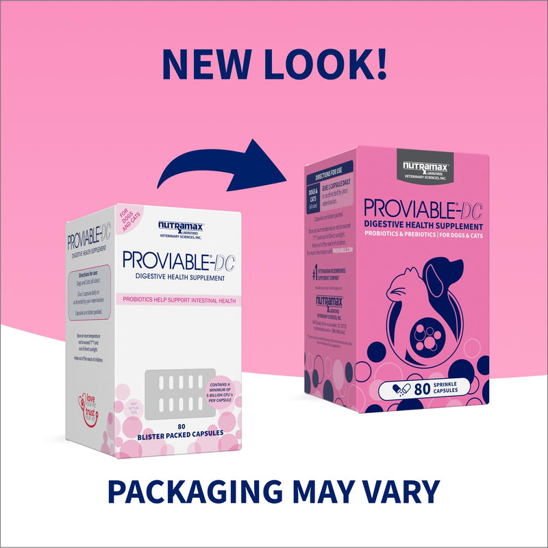 Nutramax Proviable Probiotics + Prebiotics, for Dogs & Cats, Capsules, 80ct | Probiotics and Prebiotics for Cats and Dogs, Daily Gut Health Support Supplement, Multiple Strains, Sprinkle on Food 80 Count