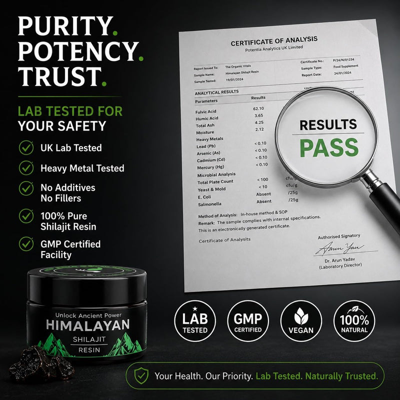 The Organic Vital Himalayan Shilajit Resin – Natural Energy and Vitality Support for Men and Women - 20g - Pure Mineral Supplement for Stamina & Brain Health