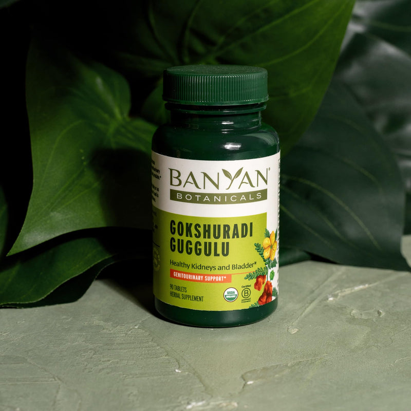 [Australia] - Banyan Botanicals Gokshuradi Guggulu Tablets – Organic Ayurvedic Supplement with Guggulu Resin and Gokshura – Supports Urinary Tract Health – 90 Tablets – Non-GMO Sustainably Sourced Vegan 