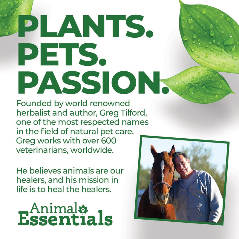 Animal Essentials Daily Digestion for Dogs & Cats - Digestive Support, Fresh Breath, Ginger Root, Fennel Seed Extract, Liquid Supplement - 2 Fl Oz 2 fl oz (60 ml) (Pack of 1) - PawsPlanet Australia