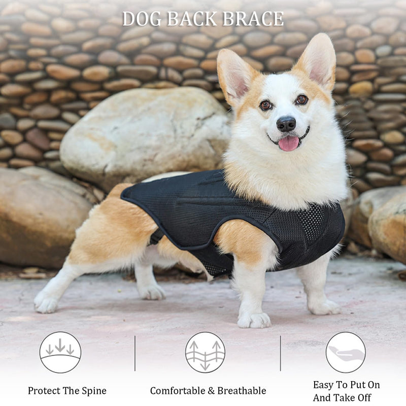 IVDD Back Brace for Dogs, Flexible Pet Dachshund Back Supporting Vest, Dog Back Bracer for Small Pet with Arthritis, Back Pain,Herniated Disc,Spinal Surgical Recovery (M) Medium - PawsPlanet Australia