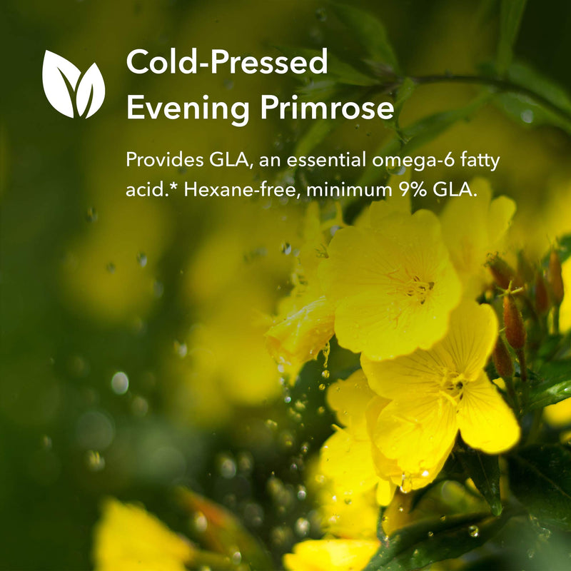 [Australia] - Allergy Research Group EPO - Evening Primrose Oil for Men & Women, for Dry Eyes, Omega-6, GLA Gamma-Linolenic Acid, 500mg Supplement - 120 Count 