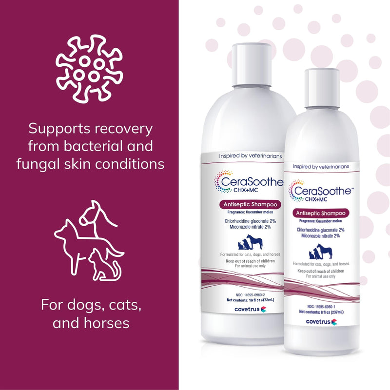 CeraSoothe® CHX+MC Antiseptic Shampoo 16oz - PawsPlanet Australia
