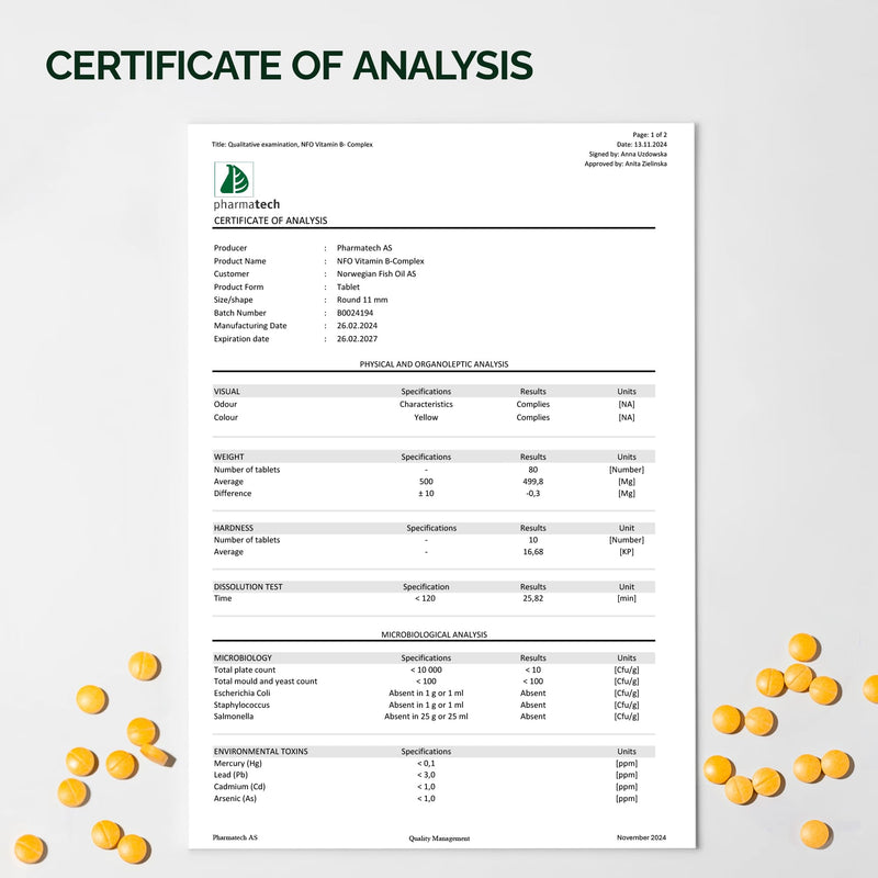 NFO Vitamin B Complex [90 Tablets] Norwegian Fish Oil Natural High-Dose Complex of Multivitamins of Group B in an Easily Accessible Form: B1, B2, B3, B5, B6, B9, B12 for Men and Women Made in Norway