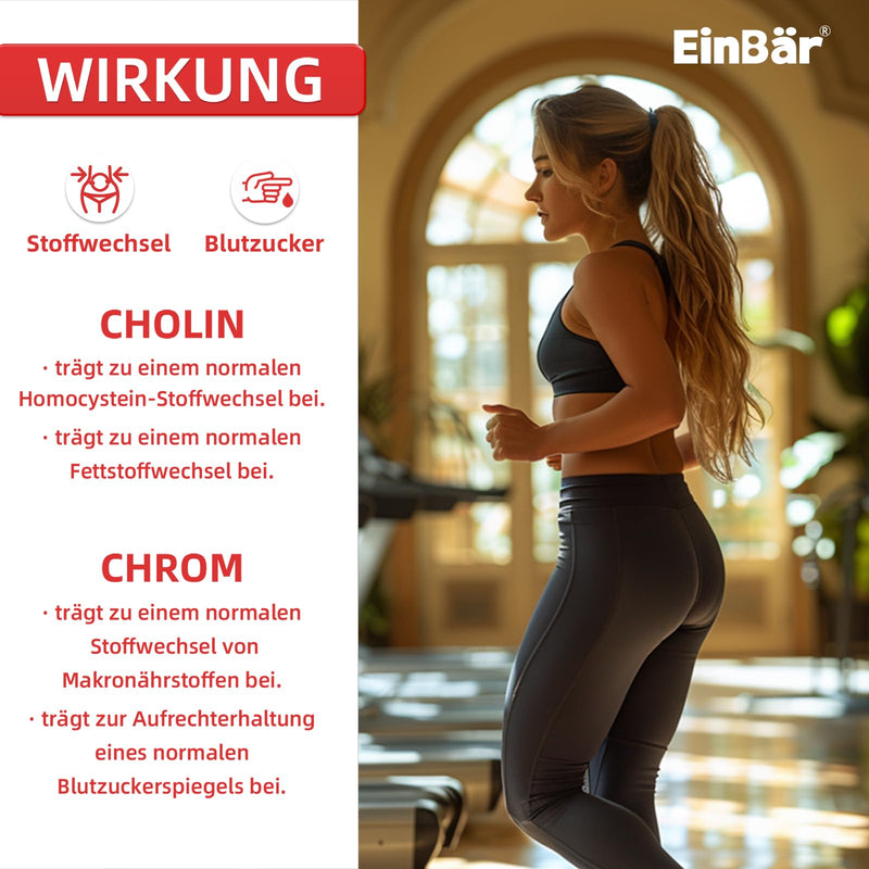 [Australia] - EinBear Metabolism Treatment 10 in 1 Complex High Dose with L-Carnitine Green Tea Choline Chromium Garcinia Cambogia Accelerate fat and energy metabolism 