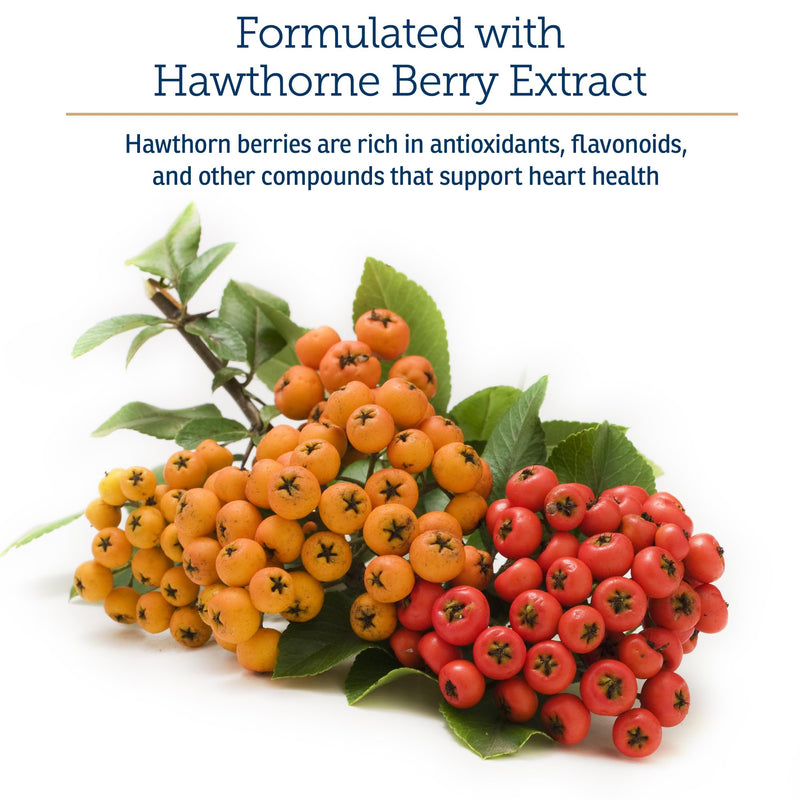 Rx Vitamins Formula CV - Hawthorn Berry Capsules with Taurine - 90ct | Heart Health Supplements Enhanced with Magnesium and Potassium - Senior Dog Vitamins and Senior Cat Vitamins New Label