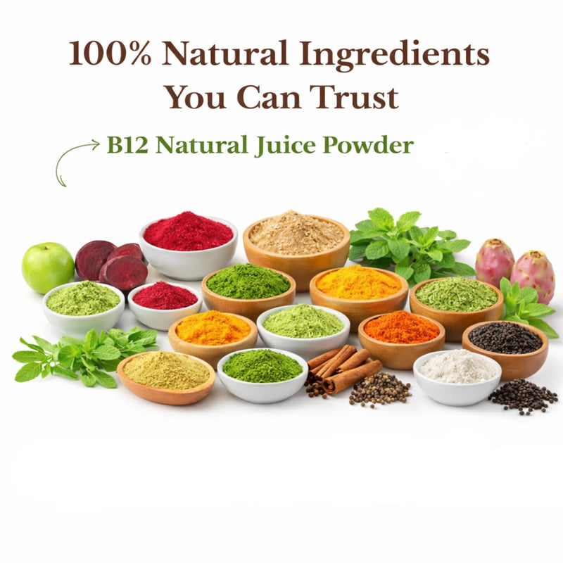 B12 Natural Juice Powder Sachets, Plant Based Dietary Supplement Drink Mix with Amla, Moringa & Beetroot, No Preservatives or Additives, Daily Wellness Supplement (30 Sachets)