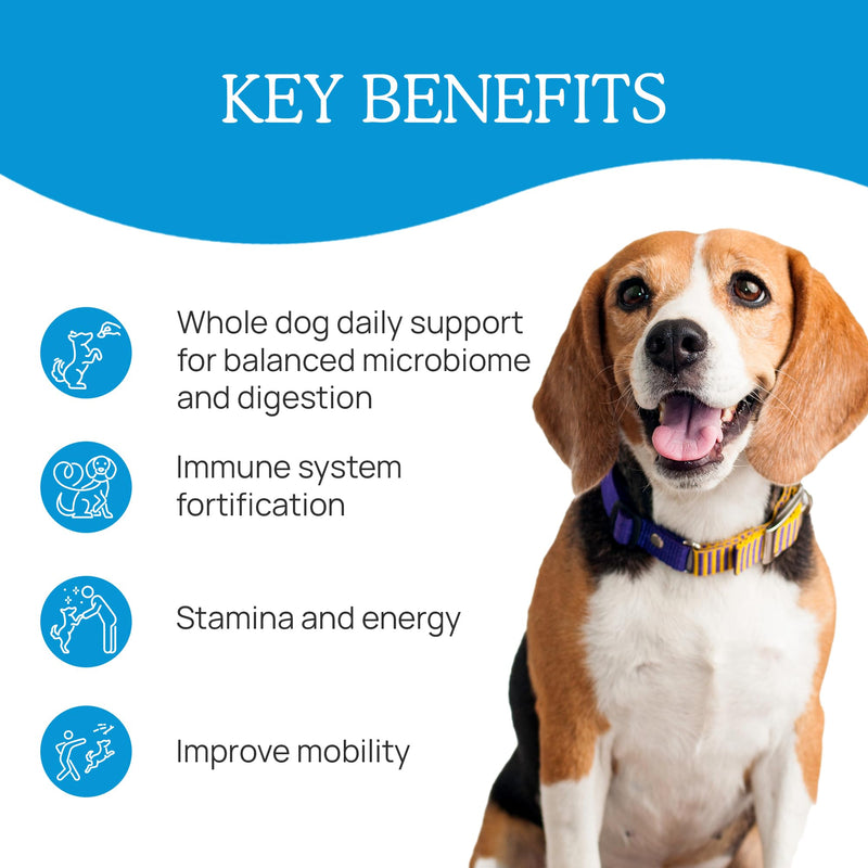 Daily Dawg Mushroom Extract Powder Support - 265 oz Bulk Supplement Dog Vitamins with Real Mushrooms Lions Mane, Cordyceps Mushroom, Turkey Tail, Reishi Shiitake - PawsPlanet Australia