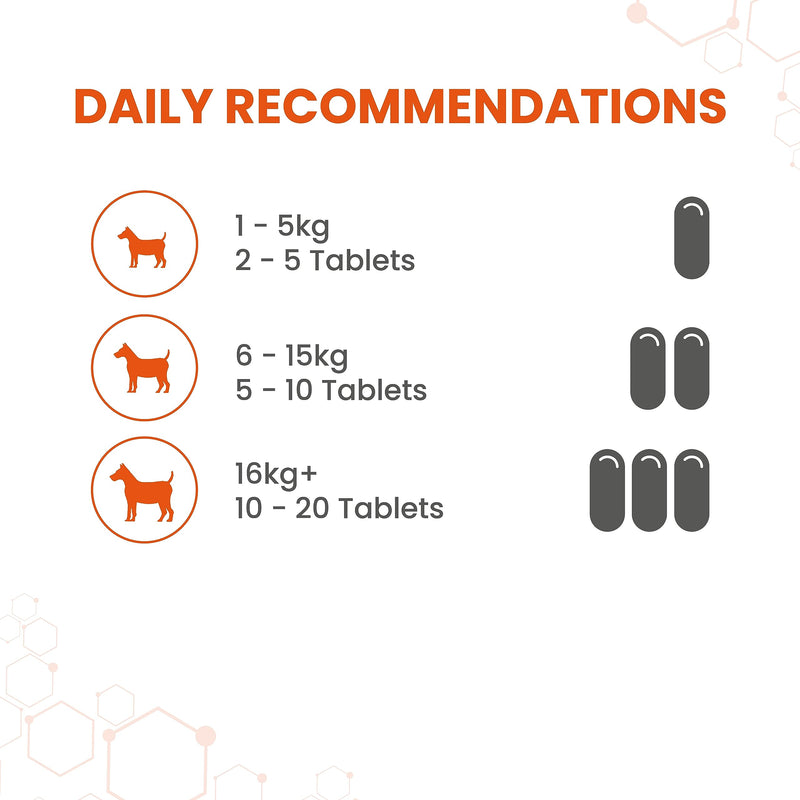 Garlic Health Supplement Tablets for Dogs, Healthy Heart, Vitality for Dogs, 240 Tablets - PawsPlanet Australia
