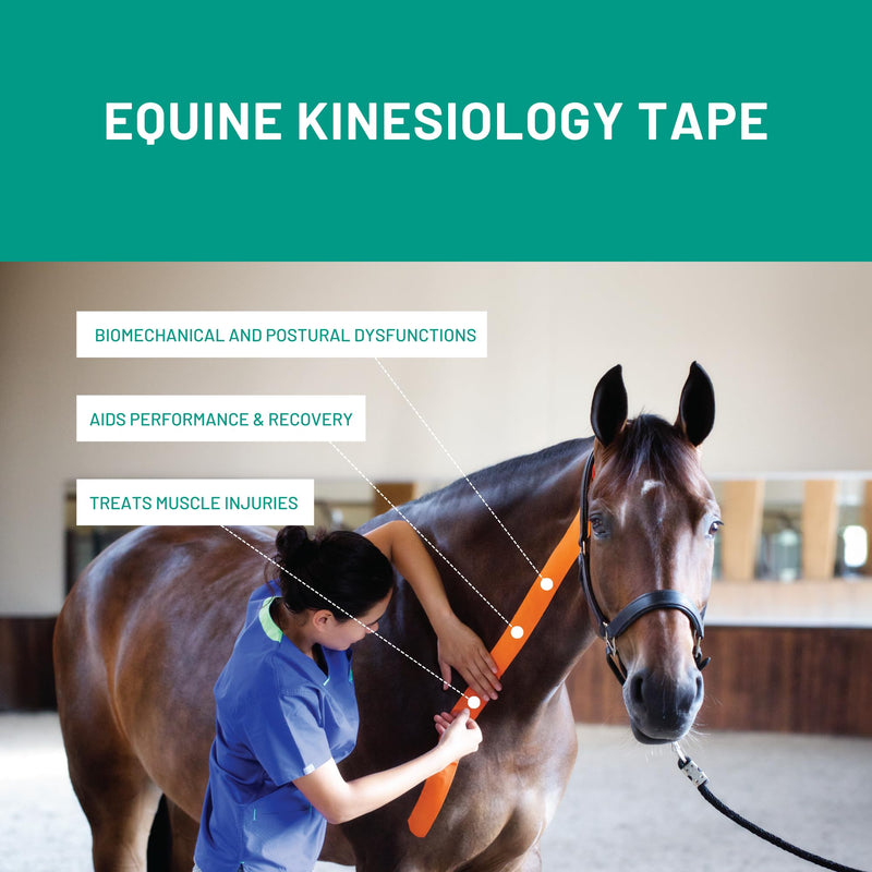 VETKIN VetkinTape Canine & Equine Kinesiology Tape | Veterinary Medical Tape | Vet Wrap for Joint Support & Pet Care | Self Adhesive Bandage Wrap | Blue | 2.4in | (Pack of 1)