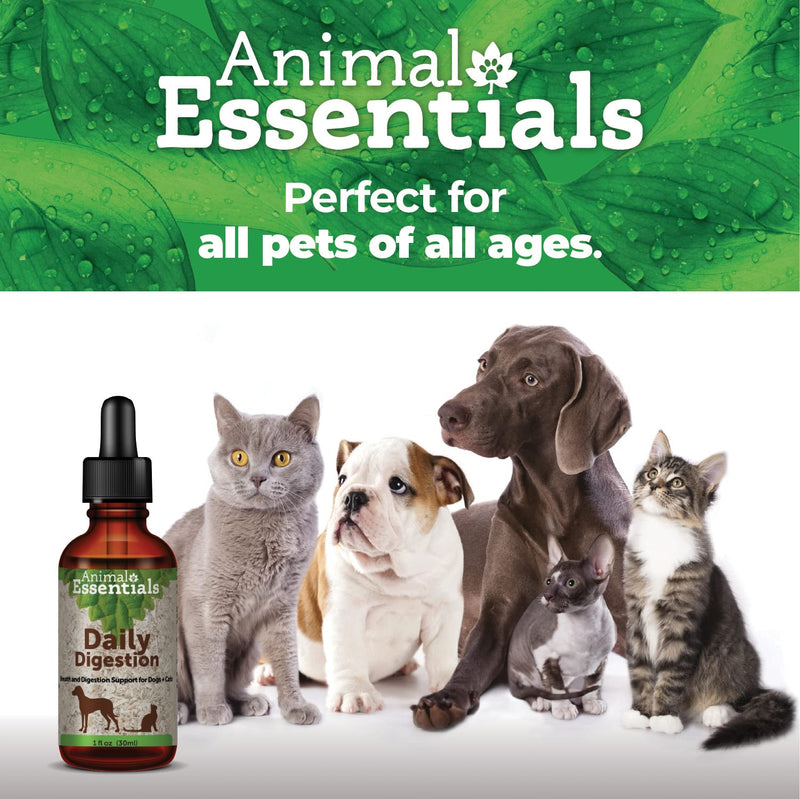 Animal Essentials Daily Digestion for Dogs & Cats - Digestive Support, Fresh Breath, Ginger Root, Fennel Seed Extract, Liquid Supplement - 2 Fl Oz 2 fl oz (60 ml) (Pack of 1) - PawsPlanet Australia