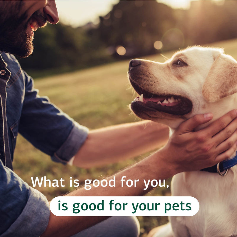 Standard Process - Canine Renal Support - Kidney Health for Dogs - 110 Grams - PawsPlanet Australia