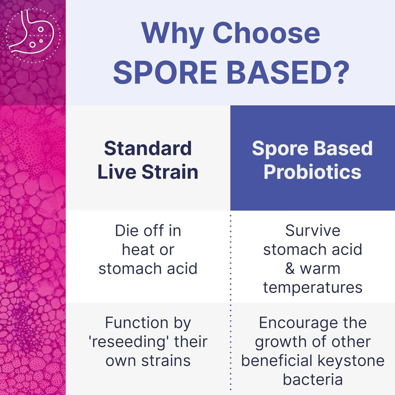 Microbiome Labs MegaSporeBiotic Plus with Antioxidants - Spore Based Probiotic, Active Bacteria Supplement to Boost Akkermansia, 4 Bacillus Strains for Gut Health - Vegan Probiotics - 60 Capsules Megasporebiotic Plus Antioxidants