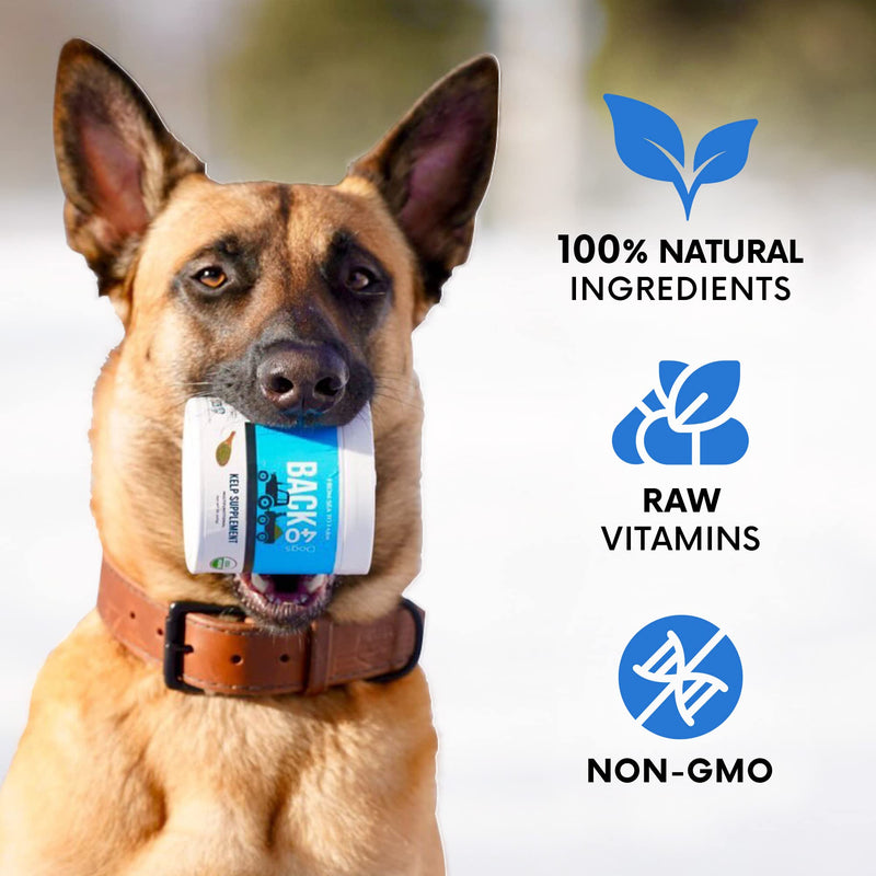 Kelp Powder, Dried Sea Kelp Supplement for Optimal Pet Health, Multifunctional Dog Vitamins Rich with Iodine & Omegas for Thyroid Health, Dental, Immune, Digestive, & Heart Health, 453g 16 OZ - PawsPlanet Australia