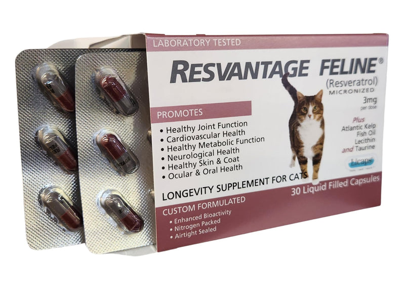 Feline - Resveratrol - The Longevity Supplement for Cats - 30 Capsules - PawsPlanet Australia