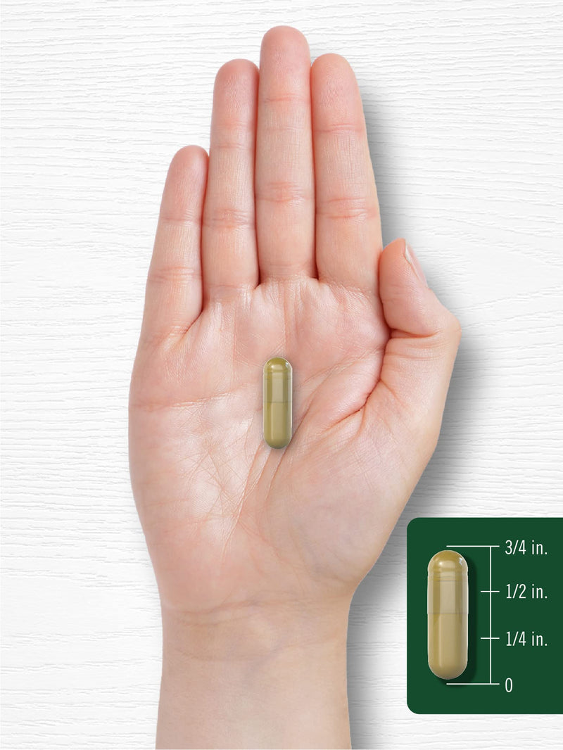 [Australia] - Carlyle Siberian Eleuthero | 2400mg | 300 Capsules | Non-GMO and Gluten Free Formula | Siberian Ginseng | Traditional Herbal Supplement 