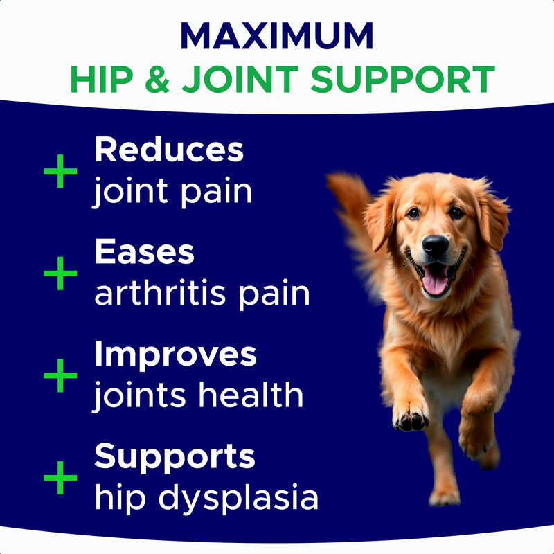 Glucosamine for Dogs Hip & Joint Supplement - Chondroitin, Omega-3, MSM - Joint Health & Pain Relief - Senior & Large Dogs - Made in USA - 120 Mobility Chews 120 Glucosamine Treats - PawsPlanet Australia
